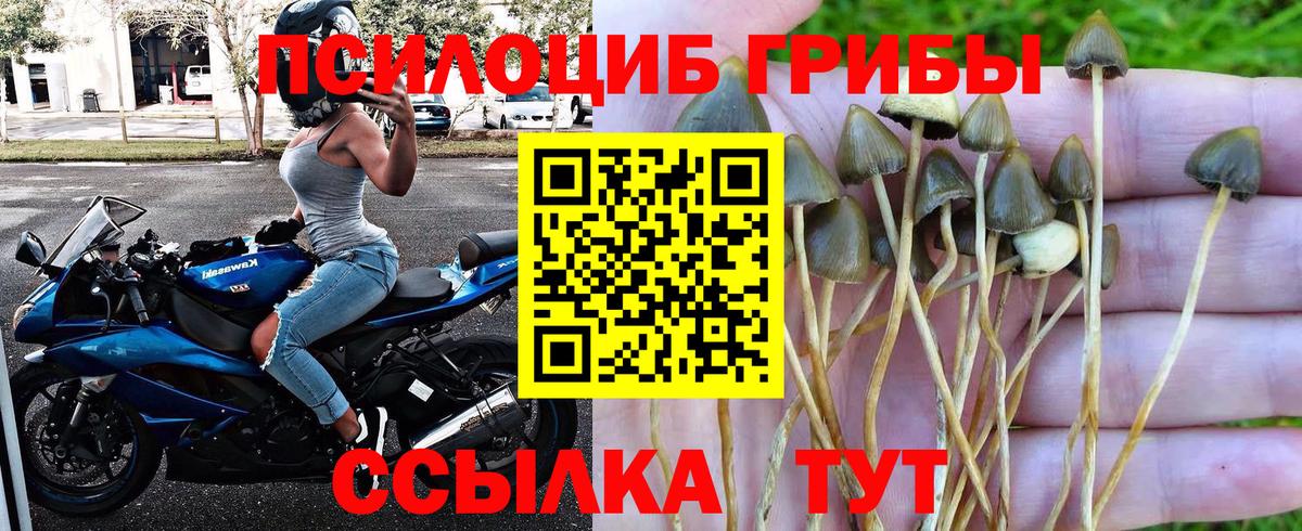 Псилоцибиновые грибы Magic Shrooms Артём