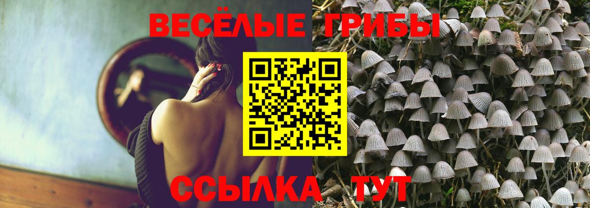 Артём  Псилоцибиновые грибы Magic Shrooms  Галлюциногенные грибы Psilocybe  Вход с VPN 